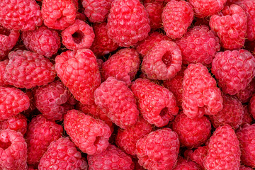 Red raspberries macro. Texture- raspberry.Photo of raspberry