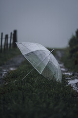 lost umbrella
