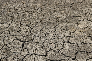 Cracked and dry earth. Water is life 