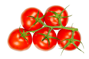 Panicle tomatoes from above, isolated over white. Fresh, ripe, red and raw fruits of Solanum...