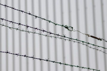 Barbed wire fence as protection and no trespassing safety symbol and warning for defense and military razor sharp security for jail and imprisonment of criminals and secure border line fixation in war