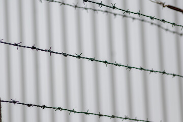 Barbed wire fence as protection and no trespassing safety symbol and warning for defense and military razor sharp security for jail and imprisonment of criminals and secure border line fixation in war