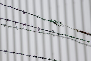 Barbed wire fence as protection and no trespassing safety symbol and warning for defense and...