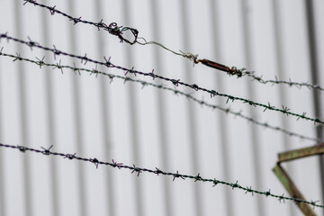 Barbed wire fence as protection and no trespassing safety symbol and warning for defense and...