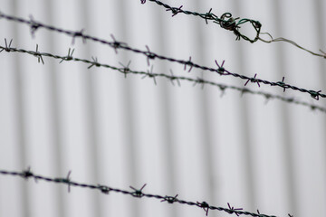 Barbed wire fence as protection and no trespassing safety symbol and warning for defense and...
