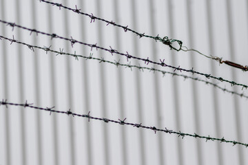 Barbed wire fence as protection and no trespassing safety symbol and warning for defense and military razor sharp security for jail and imprisonment of criminals and secure border line fixation in war