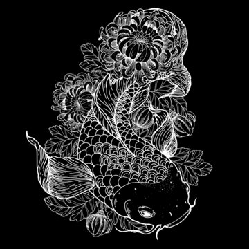 Koi carp and chrysanthemum flowers sketch. Vector illustration. Tattoo print. Hand drawn illustration for t-shirt print, fabric and other uses.