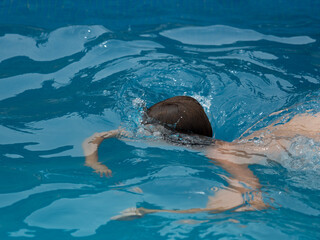 Obraz premium Boy in the swimming pool diving into the water diving