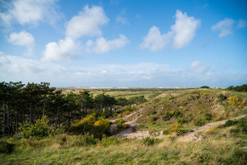 seaside valley with trees