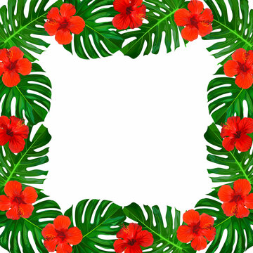 Bright Frame With Red Tropical Flowers And Palm Leaves