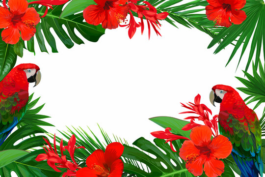 Bright frame with red tropical flowers and palm leaves