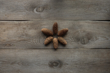 wooden background, forest cones, wood texture