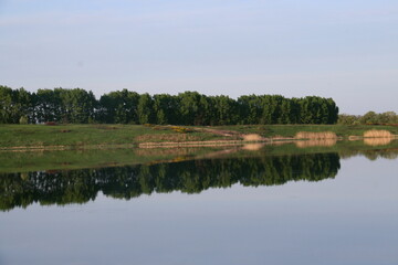 Obraz premium lake in the park