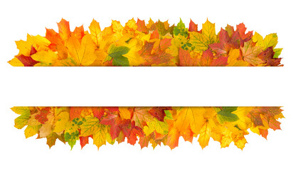 Fall background. Autumn leaves banner space for text