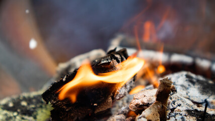 Firewood 