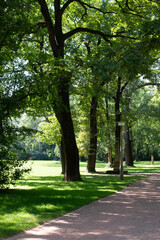 Park 