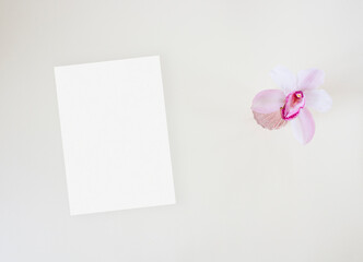 Mockup wedding invitation with lily on the beige background 
