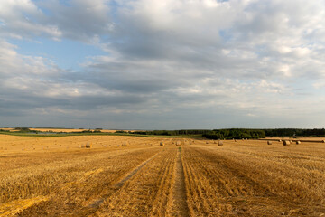 Round sheaves of straw against the background of the field to the horizon and the beautiful sky.