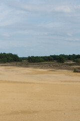 desert meeting dunes and forest