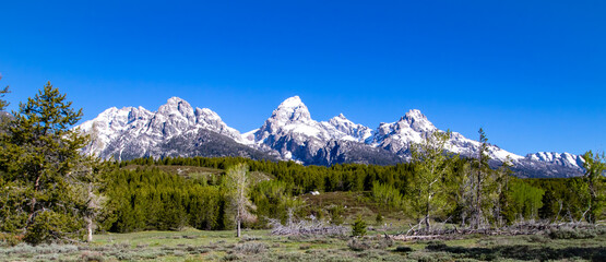 Grand Teton National Park in Wyoming at the end of May