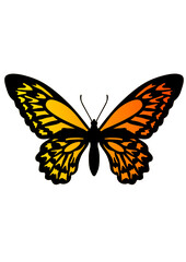 Obraz na płótnie Canvas butterflies