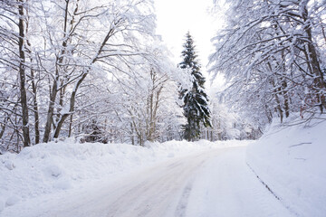 Winter landscape, road covered by snow