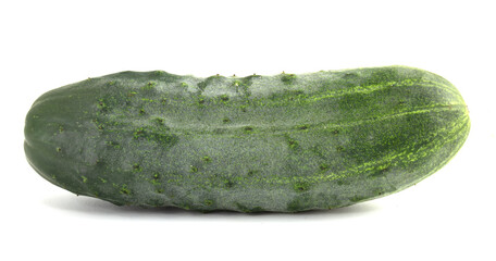 Big prickly cucumber isolated on white background.