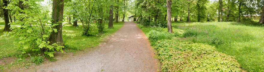 walkway in green park landscape Kurpark Bad Aibling, bavaria