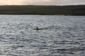 Obraz premium person on the lake