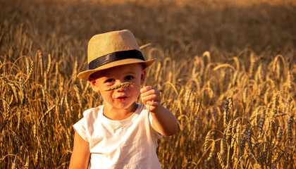 Child in a wheat field hugging a grain harvest. Nature, Selective focus