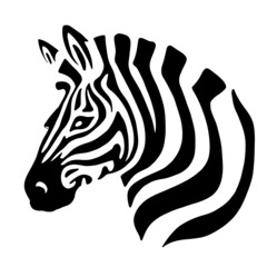 drawing of a zebra head. Black and white animal illustration
