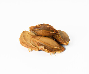 apricot pits on a white background, close up