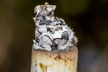 macro shoot of burning of cigarette