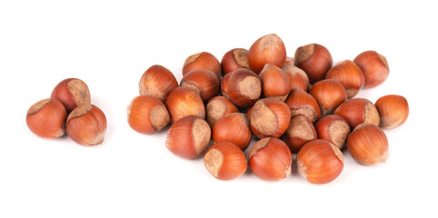 Hazelnut isolated on white background. Nut macro, with clipping path.