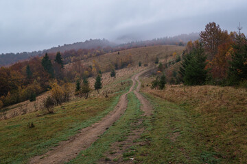Fototapeta na wymiar Hazy and overcast early morning in autumn Carpathian Mountains and dirty countryside path, Ukraine.