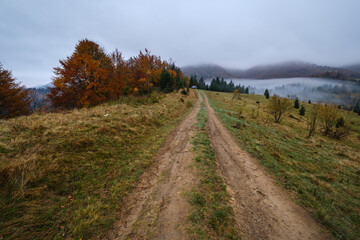 Fototapeta na wymiar Hazy and overcast early morning in autumn Carpathian Mountains and dirty countryside path, Ukraine.