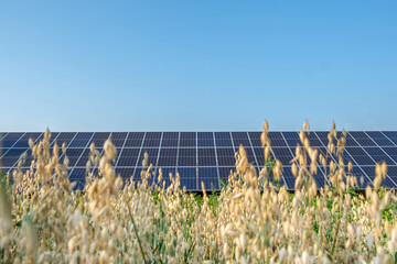 Row of solar panels on a solar farm under a blue sky in agricultural field. Solar power plant, an...
