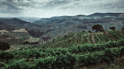 View of the hills in Douro Valley, northern Portugal.