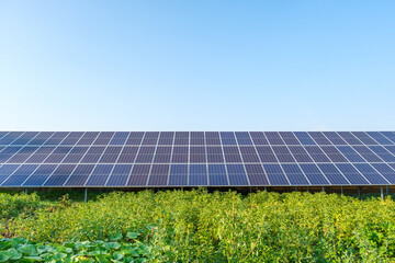 Row of solar panels on a solar farm under a blue sky in a backyard vegetable garden. Solar power plant, an ecological alternative source of electricity, front view