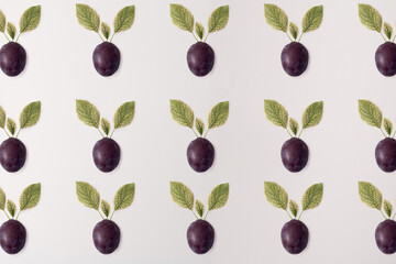 Plum with green leaves on a white background. Minimal design. Copy space. Pattern.