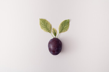 Plum with green leaves on a white background. Minimal design. Copy space.