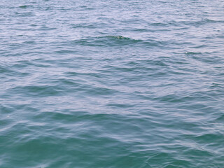 Naklejka premium calm Lake Michigan water with shallow wave