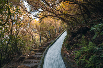 A Portuguese water channel system called Levada in Madeira. High quality photo