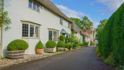 view along a row of beautiful old cottages wih bowed windows, planters and tall green hedging, Church Walk, Avebury, Wiltshire UK AONB