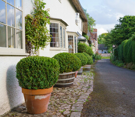 Fototapeta na wymiar view along a row of beautiful old cottages wih bowed windows, planters and tall green hedging, Church Walk, Avebury, Wiltshire UK AONB