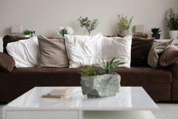 Soft comfortable velvet couch in empty living room with nobody. Trendy brown sofa with pillows and coffee table. Stylish home interior, new decoration, seats and cushions for comfort and relaxation