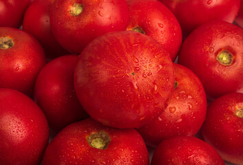 Fototapeta na wymiar Background from red, ripe tomatoes. Juicy tomatoes close-up.