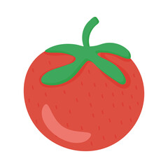 delicious vegetable tomato