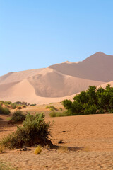 Dünen Sossusvlei, Namibia