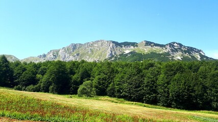 Fototapeta na wymiar Mountain Zelengora landscape with Kalelija peak and green forest, Bosnia and Herzegovina